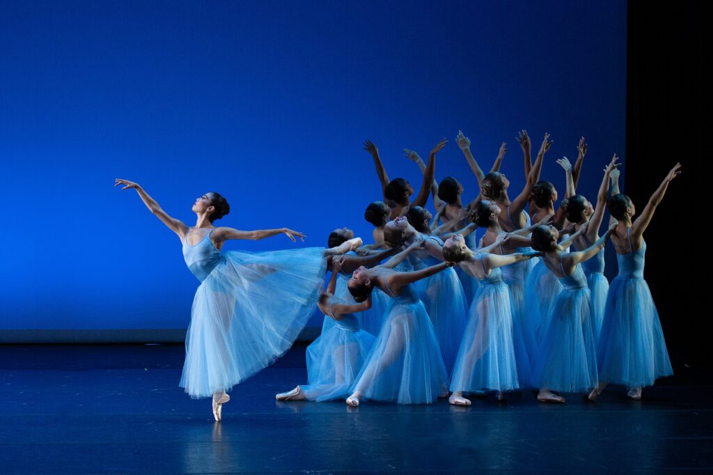 DSC_8195-cropped-1024x682